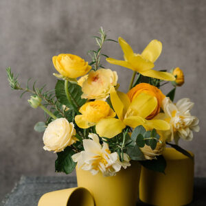 Giallo Sole