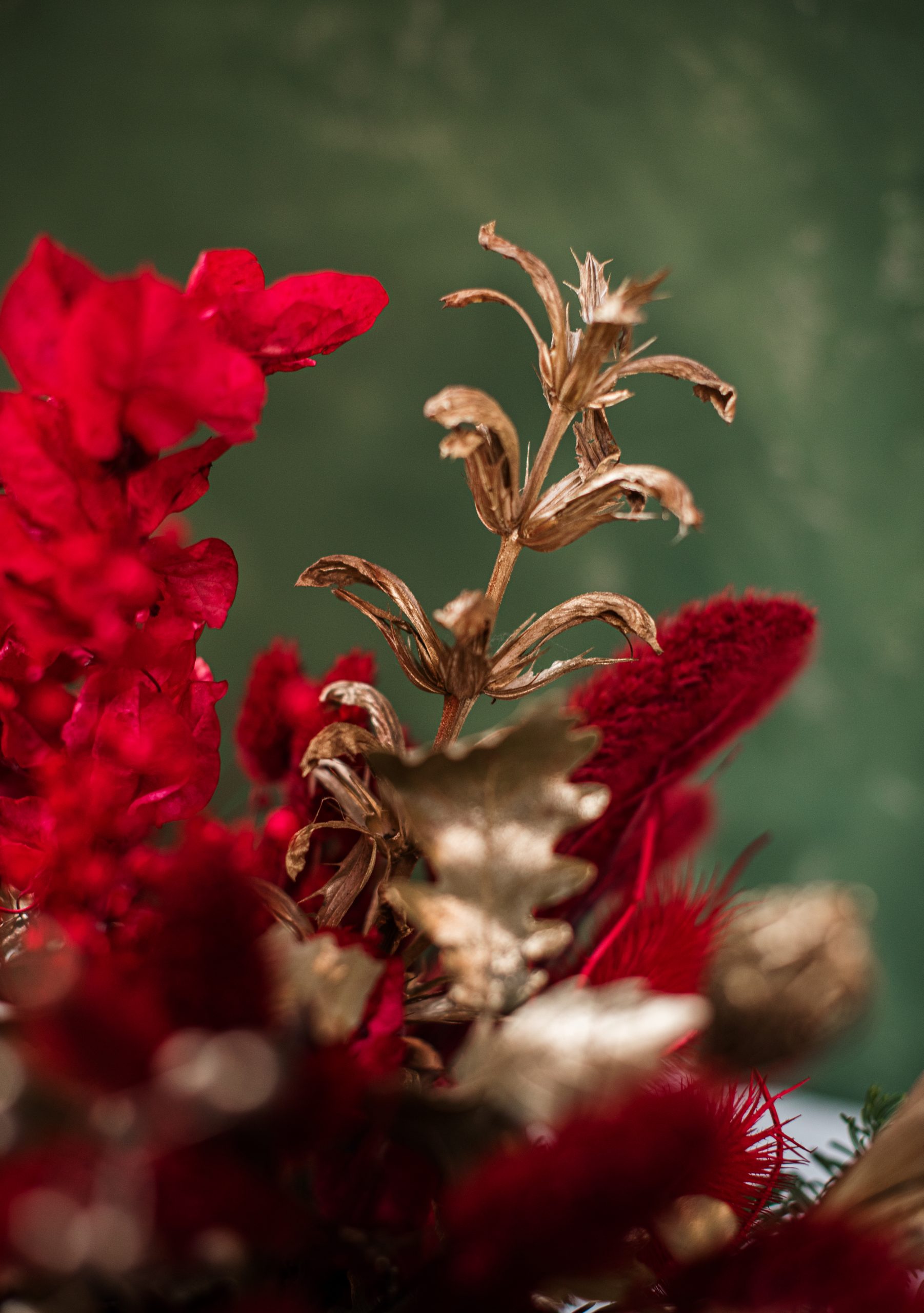 Cappelliera fiori secchi - immagine 5