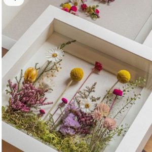 Un Giardino da incorniciare