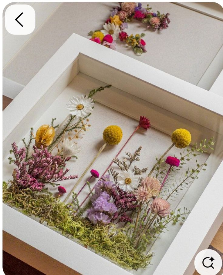 Un Giardino da Incorniciare